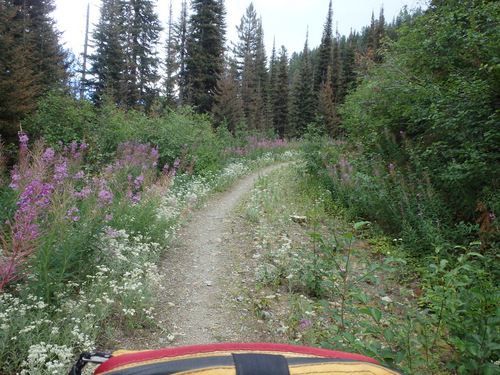 GDMBR: Climbing on FR-4353 Single Track, Richmond Peak, MT.